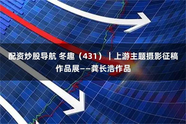 配资炒股导航 冬趣（431）｜上游主题摄影征稿作品展——龚长浩作品