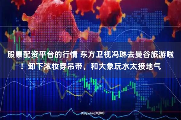 股票配资平台的行情 东方卫视冯琳去曼谷旅游啦！卸下浓妆穿吊带，和大象玩水太接地气