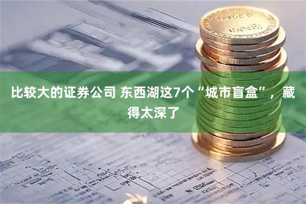 比较大的证券公司 东西湖这7个“城市盲盒”，藏得太深了